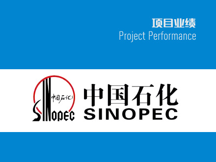 中國(guó)石化分公司項(xiàng)目